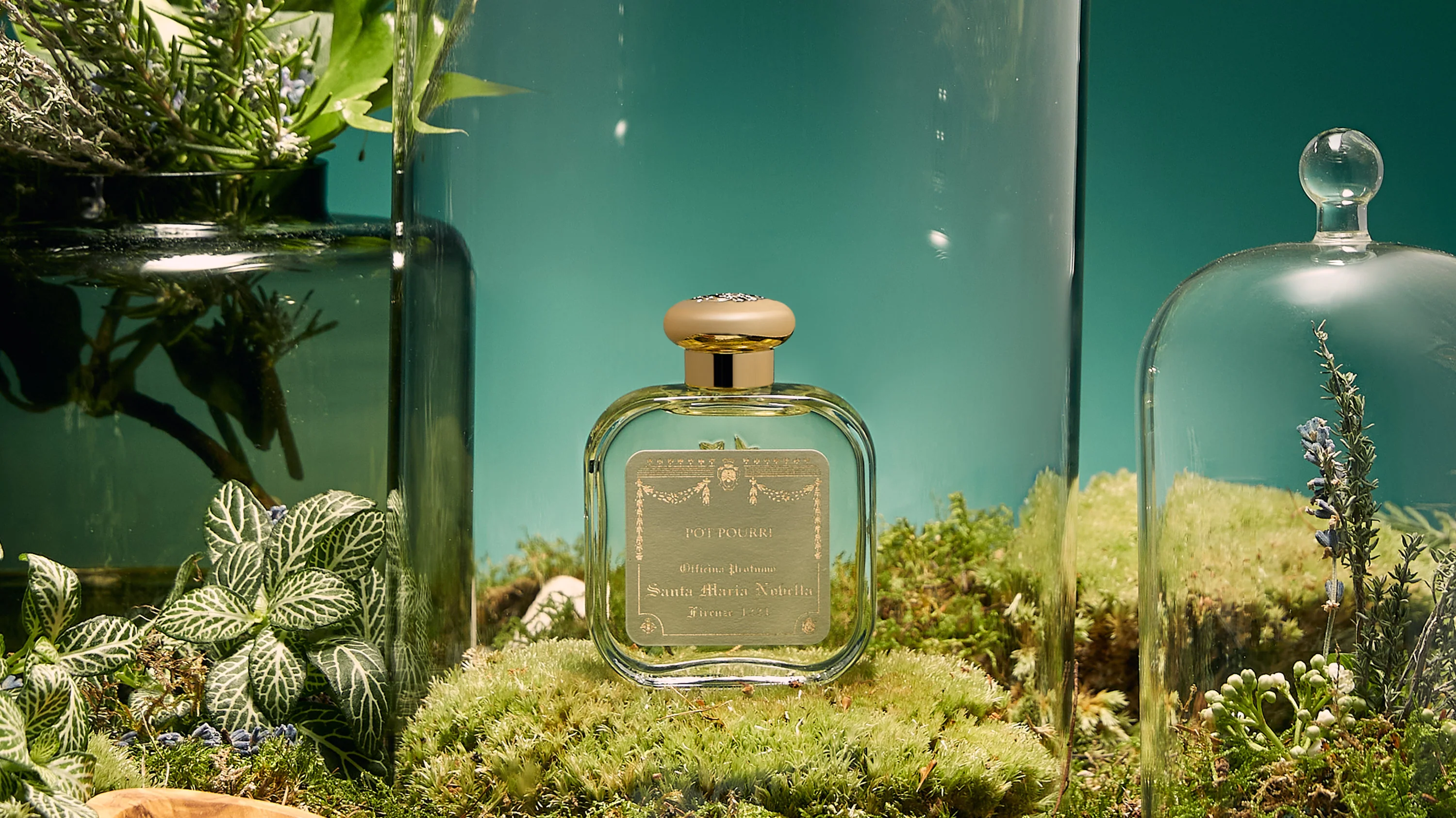 Pot Pourri - Image 3